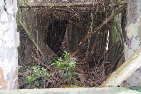 Ruïna a Horta, Faial, Horta - € 120.000 | Ref: 374230049 - foto 10