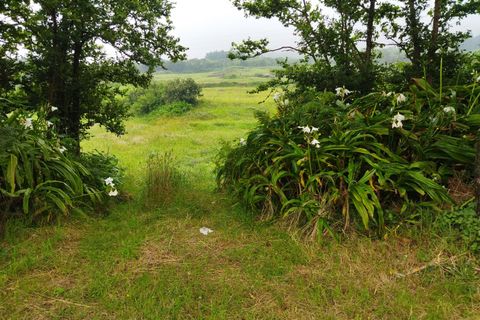 Grond in Horta, Faial, Horta - € 29.500 | Ref: 374230143 - foto 3