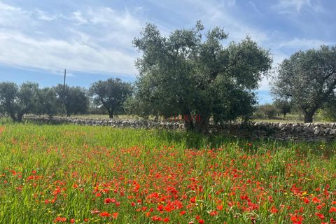 Landejendom i Ostuni, Brindisi, Ostuni - € 270.000 | Ref: 273 - foto 7