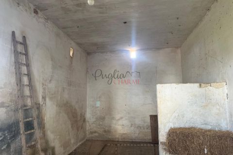 Landejendom i Ostuni, Brindisi, Ostuni - € 270.000 | Ref: 273 - foto 12