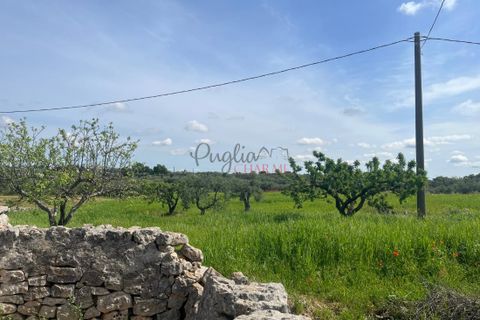 Landejendom i Ostuni, Brindisi, Ostuni - € 270.000 | Ref: 273 - foto 6