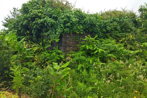 Helårsgrund i Horta, Faial, Horta - € 54.000 | Ref: 374230153 - foto 5