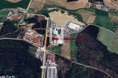 Erhvervsejendom i Vila do Conde, Porto, Vila do Conde - € 425.000 | Ref: SÒL_14 - foto 5