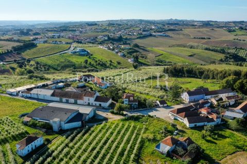 Granja a Carvalhal, Leiria, Carvalhal - € 1.620.000 | Ref: TG3268 - foto 2