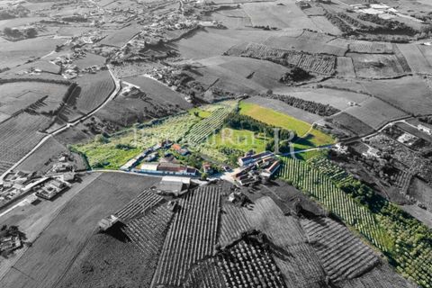 Granja a Carvalhal, Leiria, Carvalhal - € 1.620.000 | Ref: TG3268 - foto 3