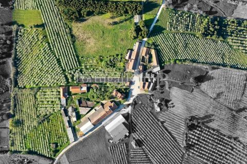 Granja a Carvalhal, Leiria, Carvalhal - € 1.620.000 | Ref: TG3268 - foto 4