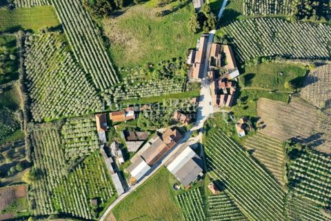 Granja a Carvalhal, Leiria, Carvalhal - € 1.620.000 | Ref: TG3268 - foto 5