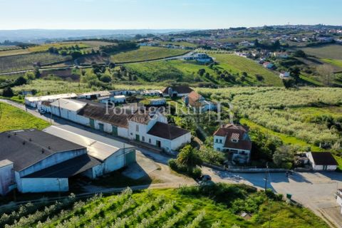 Granja a Carvalhal, Leiria, Carvalhal - € 1.620.000 | Ref: TG3268 - foto 6