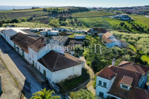 Granja a Carvalhal, Leiria, Carvalhal - € 1.620.000 | Ref: TG3268 - foto 7