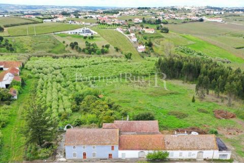 Granja a Carvalhal, Leiria, Carvalhal - € 1.620.000 | Ref: TG3268 - foto 9