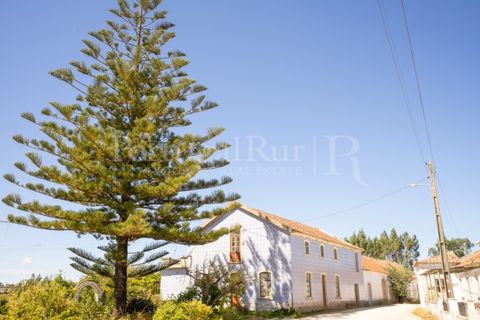 Granja a Carvalhal, Leiria, Carvalhal - € 1.620.000 | Ref: TG3268 - foto 10