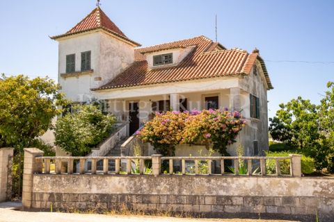 Granja a Carvalhal, Leiria, Carvalhal - € 1.620.000 | Ref: TG3268 - foto 11
