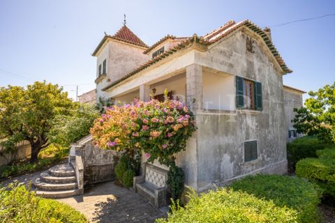 Granja a Carvalhal, Leiria, Carvalhal - € 1.620.000 | Ref: TG3268 - foto 13