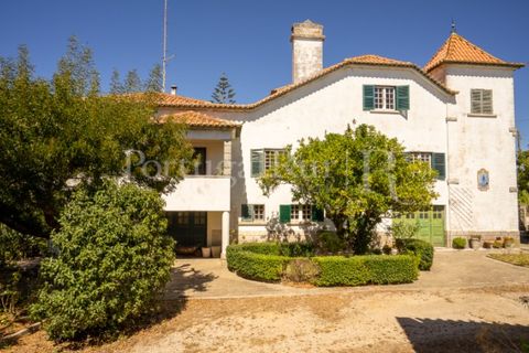 Granja a Carvalhal, Leiria, Carvalhal - € 1.620.000 | Ref: TG3268 - foto 14
