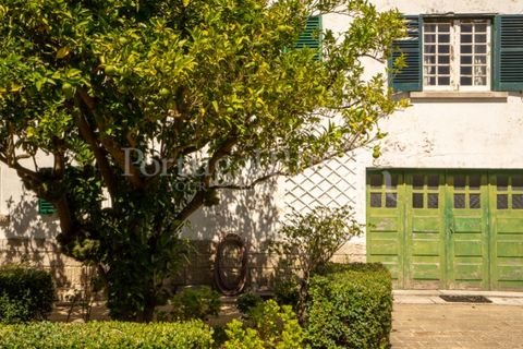 Granja a Carvalhal, Leiria, Carvalhal - € 1.620.000 | Ref: TG3268 - foto 15
