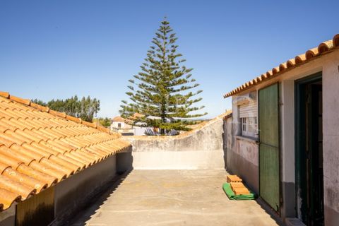 Granja a Carvalhal, Leiria, Carvalhal - € 1.620.000 | Ref: TG3268 - foto 28