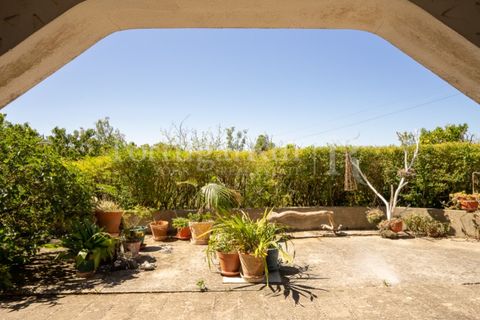 Granja a Carvalhal, Leiria, Carvalhal - € 1.620.000 | Ref: TG3268 - foto 31