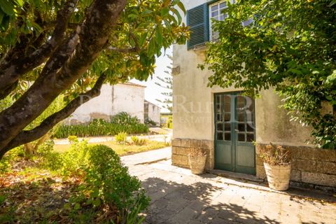 Granja a Carvalhal, Leiria, Carvalhal - € 1.620.000 | Ref: TG3268 - foto 34