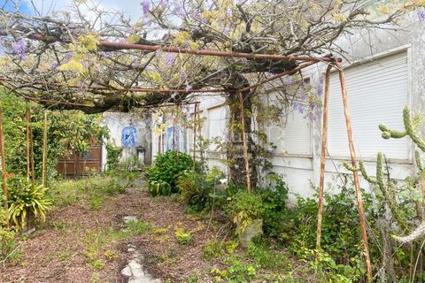 Granja a Carvalhal, Leiria, Carvalhal - € 1.620.000 | Ref: TG3268 - foto 36