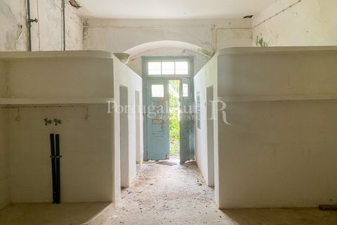 Granja a Carvalhal, Leiria, Carvalhal - € 1.620.000 | Ref: TG3268 - foto 43