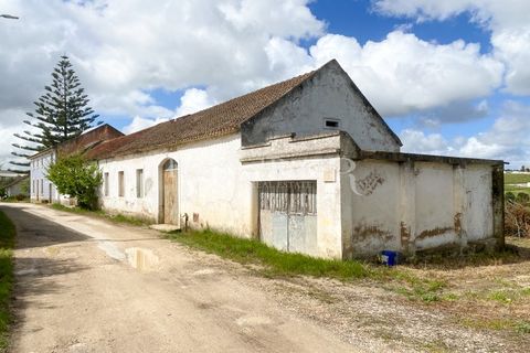 Granja a Carvalhal, Leiria, Carvalhal - € 1.620.000 | Ref: TG3268 - foto 47
