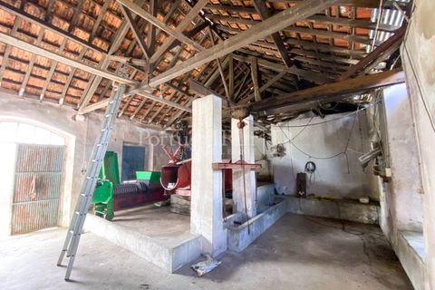 Granja a Carvalhal, Leiria, Carvalhal - € 1.620.000 | Ref: TG3268 - foto 48