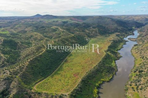 Landejendom i Mertola, Beja, Mertola - € 10.000.000 | Ref: ML127 - foto 1
