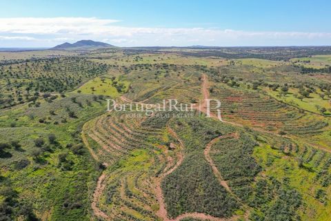 Landejendom i Mertola, Beja, Mertola - € 10.000.000 | Ref: ML127 - foto 4