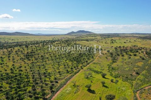 Landejendom i Mertola, Beja, Mertola - € 10.000.000 | Ref: ML127 - foto 5