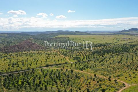 Landejendom i Mertola, Beja, Mertola - € 10.000.000 | Ref: ML127 - foto 6