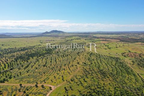 Landejendom i Mertola, Beja, Mertola - € 10.000.000 | Ref: ML127 - foto 7