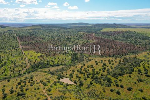 Landejendom i Mertola, Beja, Mertola - € 10.000.000 | Ref: ML127 - foto 8