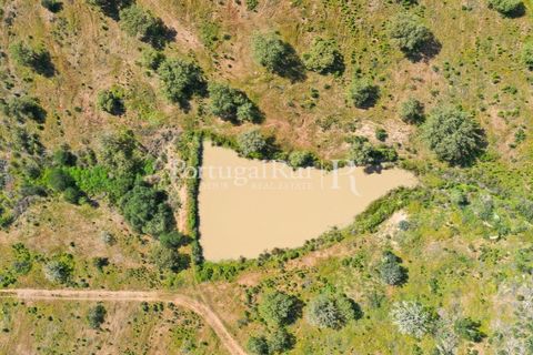 Landejendom i Mertola, Beja, Mertola - € 10.000.000 | Ref: ML127 - foto 9