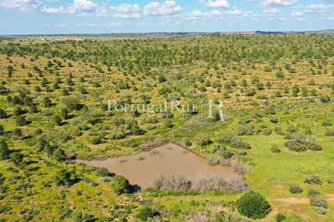 Landejendom i Mertola, Beja, Mertola - € 10.000.000 | Ref: ML127 - foto 10