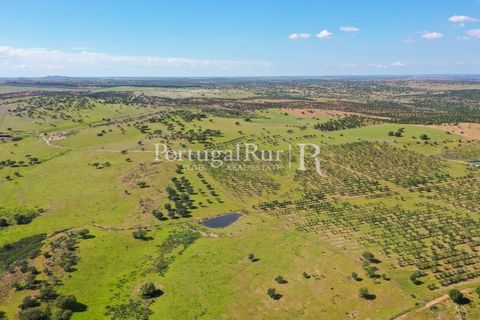 Landejendom i Mertola, Beja, Mertola - € 10.000.000 | Ref: ML127 - foto 11