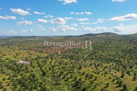 Landejendom i Mertola, Beja, Mertola - € 10.000.000 | Ref: ML127 - foto 12