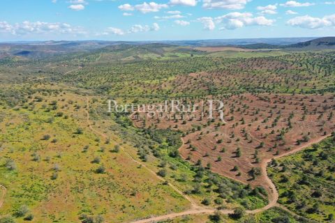 Landejendom i Mertola, Beja, Mertola - € 10.000.000 | Ref: ML127 - foto 13