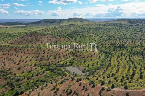 Landejendom i Mertola, Beja, Mertola - € 10.000.000 | Ref: ML127 - foto 14