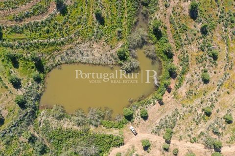 Landejendom i Mertola, Beja, Mertola - € 10.000.000 | Ref: ML127 - foto 15