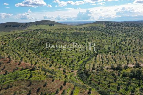 Landejendom i Mertola, Beja, Mertola - € 10.000.000 | Ref: ML127 - foto 16