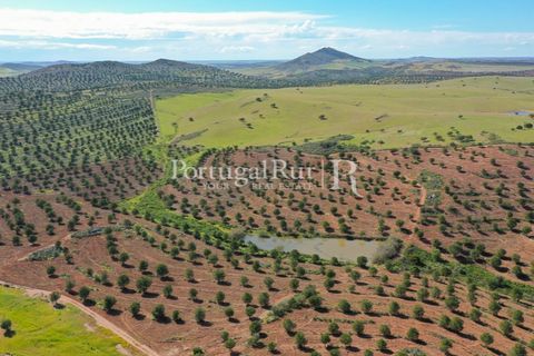 Landejendom i Mertola, Beja, Mertola - € 10.000.000 | Ref: ML127 - foto 17