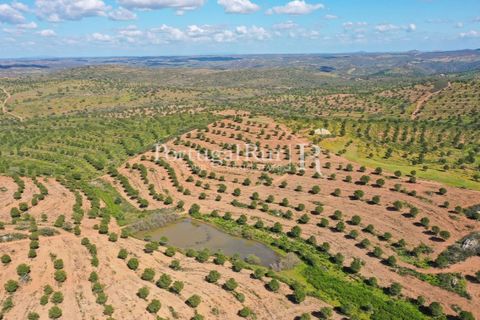 Landejendom i Mertola, Beja, Mertola - € 10.000.000 | Ref: ML127 - foto 18