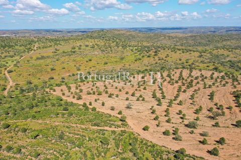 Landejendom i Mertola, Beja, Mertola - € 10.000.000 | Ref: ML127 - foto 19