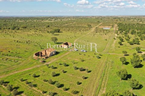 Landejendom i Mertola, Beja, Mertola - € 10.000.000 | Ref: ML127 - foto 22