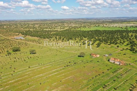 Landejendom i Mertola, Beja, Mertola - € 10.000.000 | Ref: ML127 - foto 23