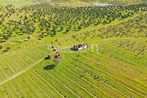 Landejendom i Mertola, Beja, Mertola - € 10.000.000 | Ref: ML127 - foto 24