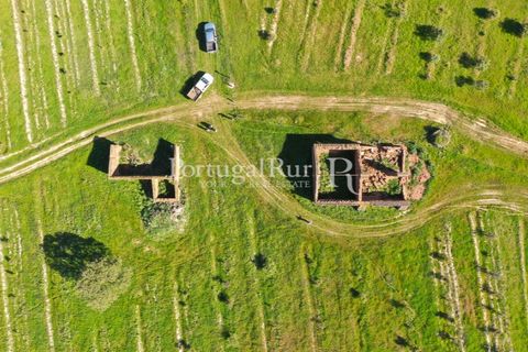 Landejendom i Mertola, Beja, Mertola - € 10.000.000 | Ref: ML127 - foto 25