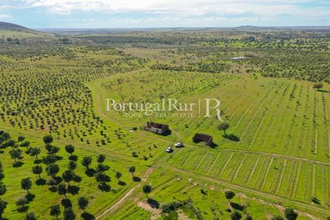 Landejendom i Mertola, Beja, Mertola - € 10.000.000 | Ref: ML127 - foto 26