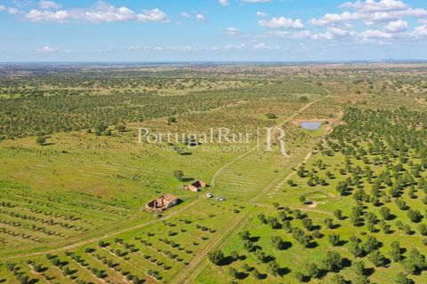 Landejendom i Mertola, Beja, Mertola - € 10.000.000 | Ref: ML127 - foto 27