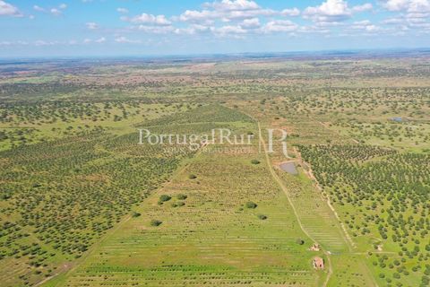 Landejendom i Mertola, Beja, Mertola - € 10.000.000 | Ref: ML127 - foto 28